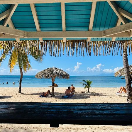 Brin D'Ile Anse Des Rochers Vue Mer A 50 M De La Plage Et Piscine แซงต์-ฟรองซัวส์ ภายนอก รูปภาพ