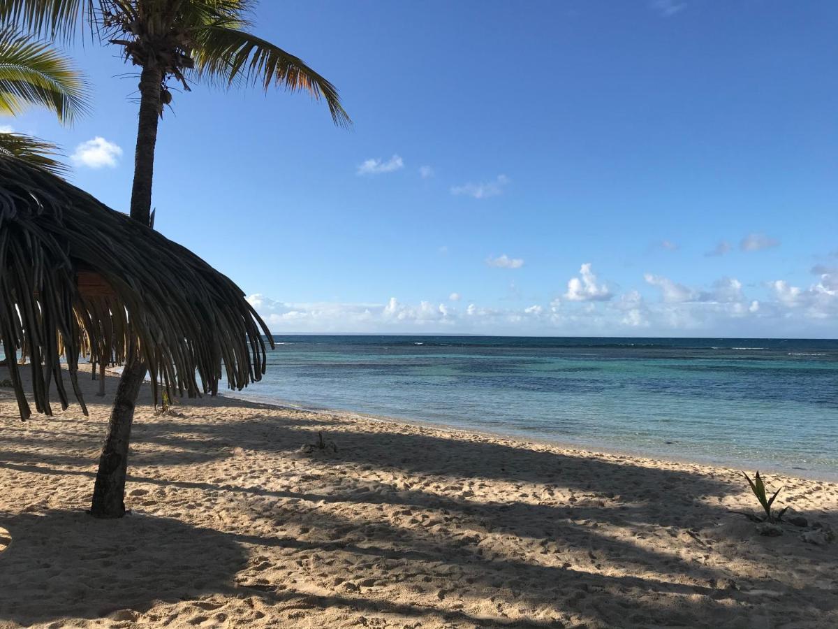 Brin D'Ile Anse Des Rochers Vue Mer A 50 M De La Plage Et Piscine แซงต์-ฟรองซัวส์ ภายนอก รูปภาพ