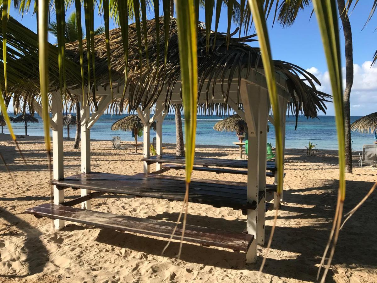 Brin D'Ile Anse Des Rochers Vue Mer A 50 M De La Plage Et Piscine แซงต์-ฟรองซัวส์ ภายนอก รูปภาพ