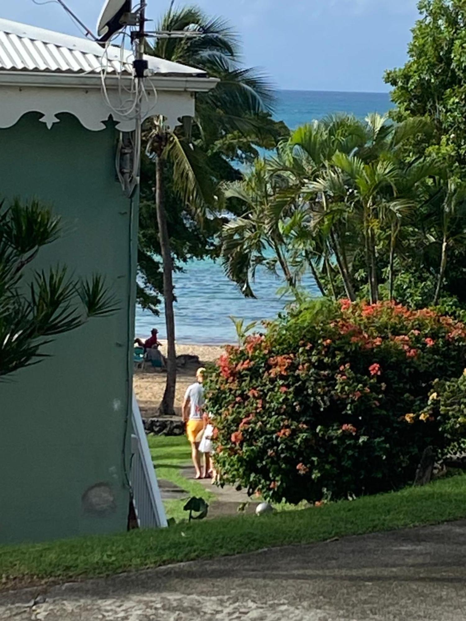 Brin D'Ile Anse Des Rochers Vue Mer A 50 M De La Plage Et Piscine แซงต์-ฟรองซัวส์ ภายนอก รูปภาพ