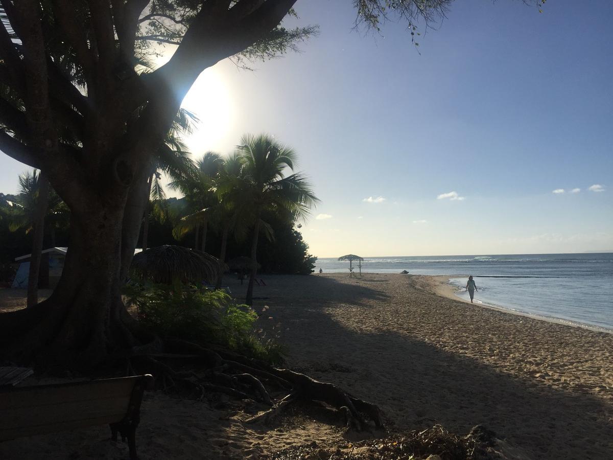 Brin D'Ile Anse Des Rochers Vue Mer A 50 M De La Plage Et Piscine แซงต์-ฟรองซัวส์ ภายนอก รูปภาพ