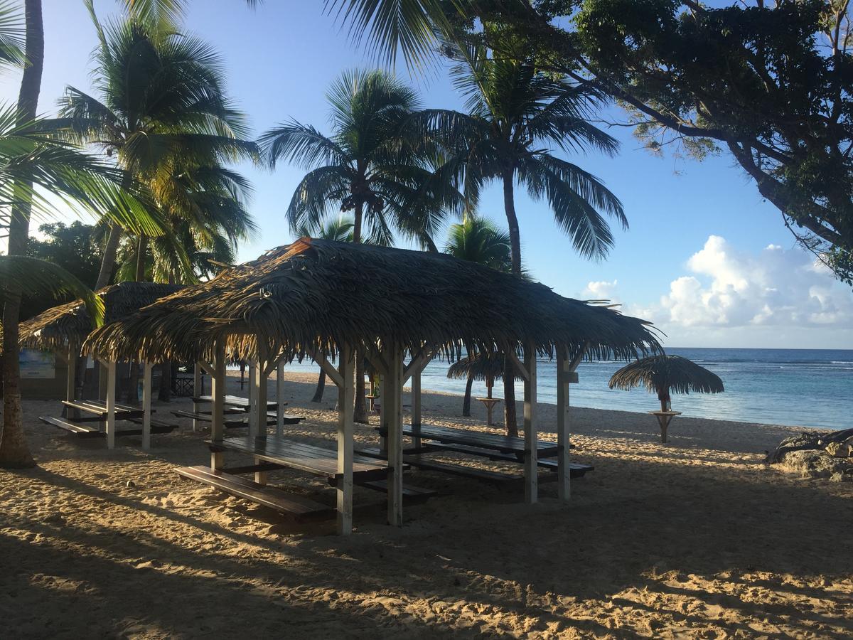 Brin D'Ile Anse Des Rochers Vue Mer A 50 M De La Plage Et Piscine แซงต์-ฟรองซัวส์ ภายนอก รูปภาพ