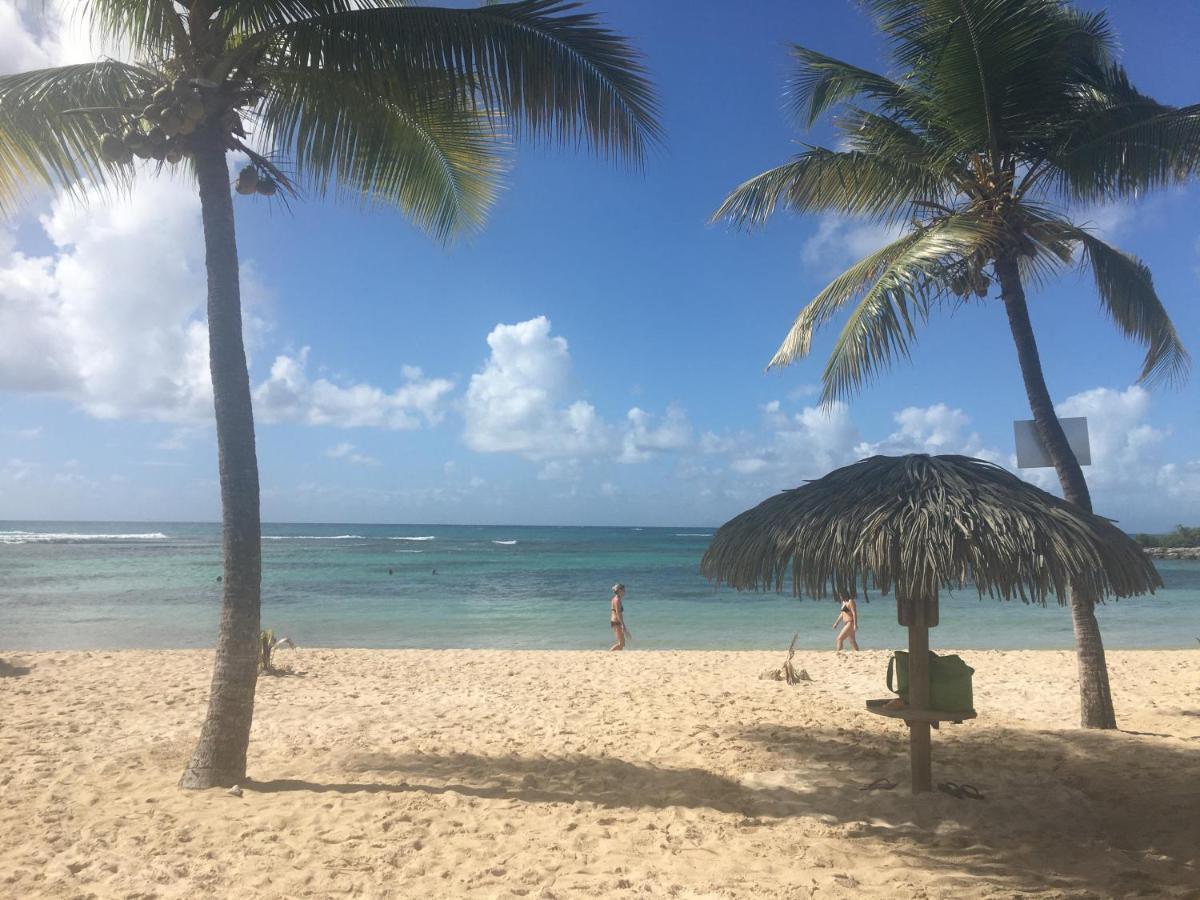 Brin D'Ile Anse Des Rochers Vue Mer A 50 M De La Plage Et Piscine แซงต์-ฟรองซัวส์ ภายนอก รูปภาพ